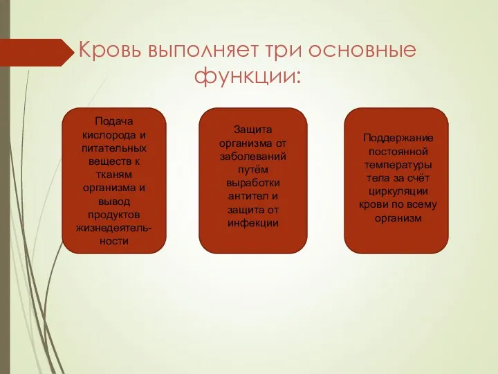 Кровь выполняет три основные функции: Подача кислорода и питательных веществ к тканям организма