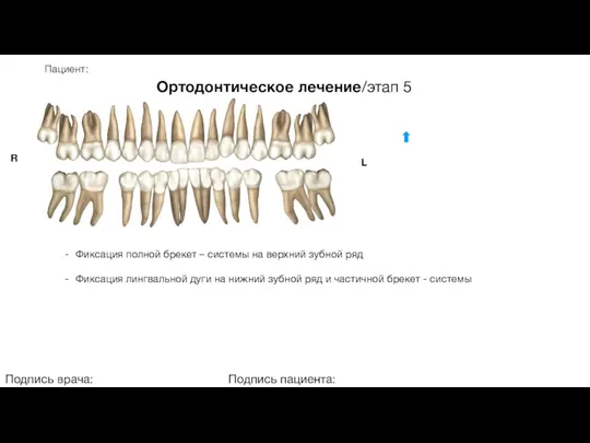 Пациент: Ортодонтическое лечение/этап 5 Подпись врача: Подпись пациента: R L