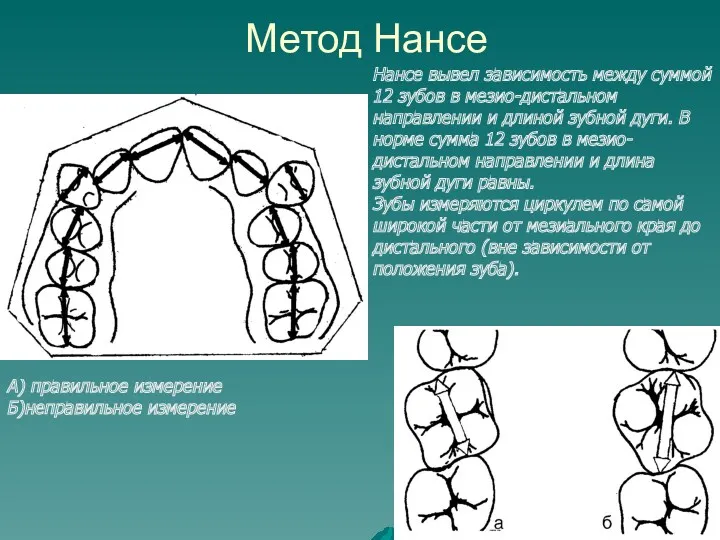 Метод Нансе Нансе вывел зависимость между суммой 12 зубов в