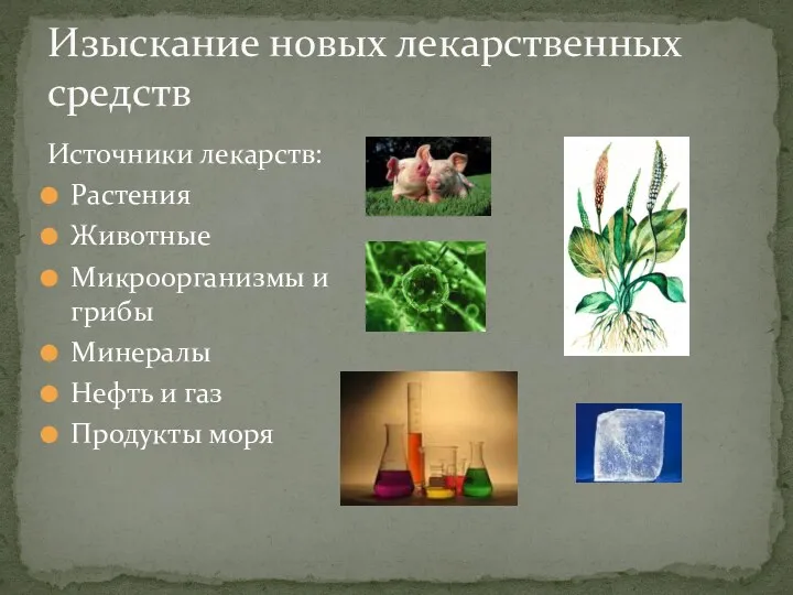 Источники лекарств: Растения Животные Микроорганизмы и грибы Минералы Нефть и газ Продукты моря