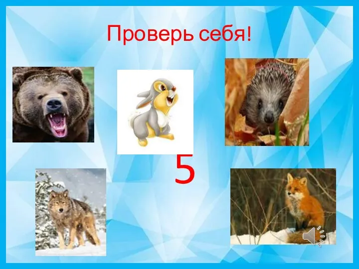 Проверь себя! 5