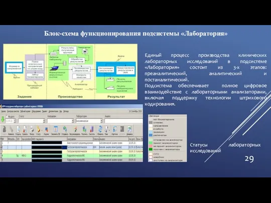 Единый процесс производства клинических лабораторных исследований в подсистеме «Лаборатория» состоит