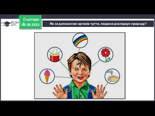 03.09.2023 Сьогодні Як за допомогою органів чуття, людина досліджує природу?