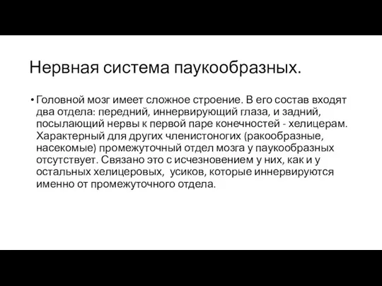 Нервная система паукообразных. Головной мозг имеет сложное строение. В его