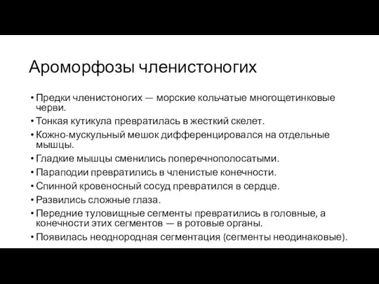 Ароморфозы членистоногих Предки членистоногих — морские кольчатые многощетинковые черви. Тонкая