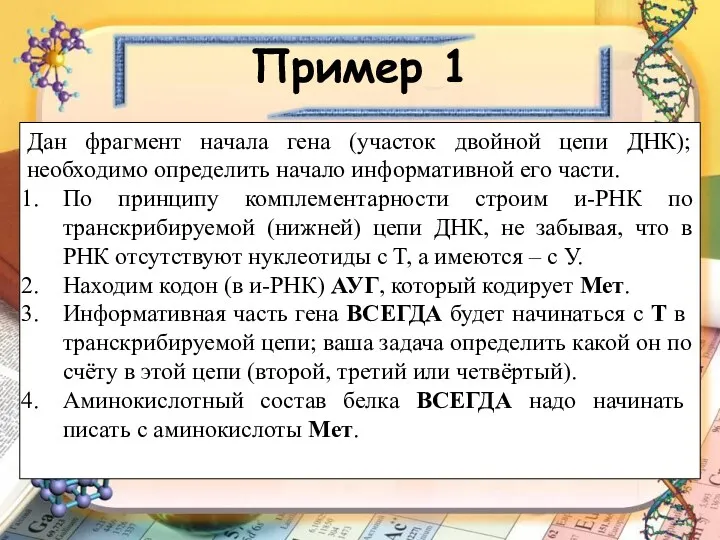 Пример 1 Дан фрагмент начала гена (участок двойной цепи ДНК);