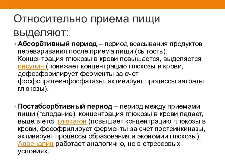 Относительно приема пищи выделяют: Абсорбтивный период – период всасывания продуктов