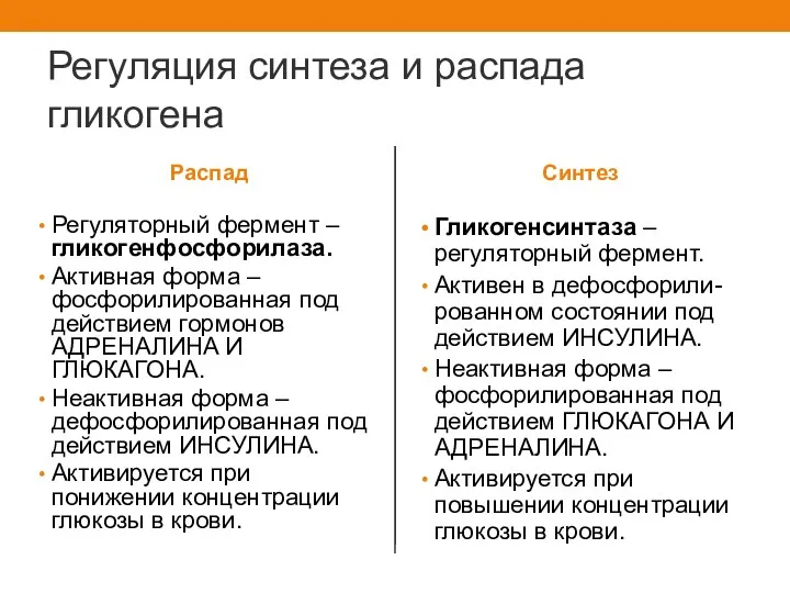 Регуляция синтеза и распада гликогена Распад Регуляторный фермент – гликогенфосфорилаза.