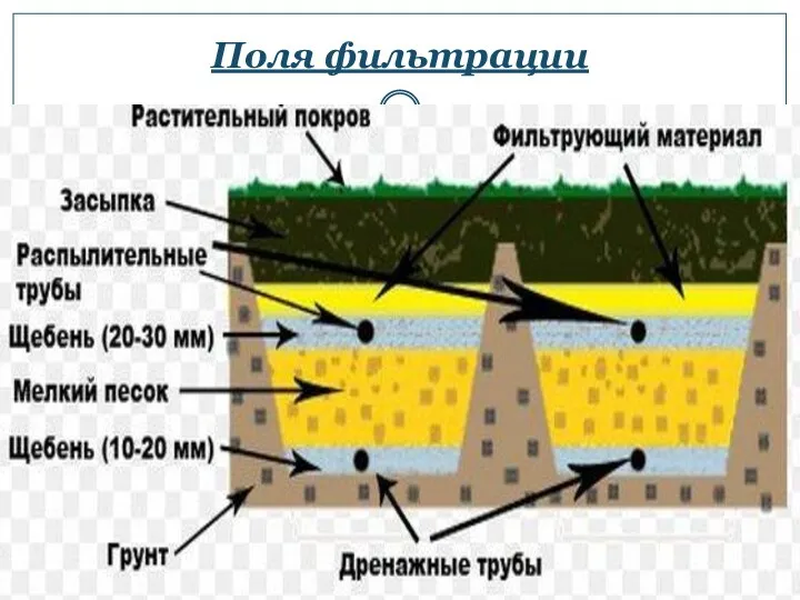 Поля фильтрации