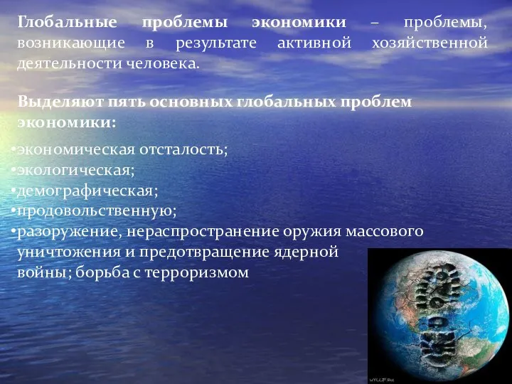 Выделяют пять основных глобальных проблем экономики: экономическая отсталость; экологическая; демографическая;