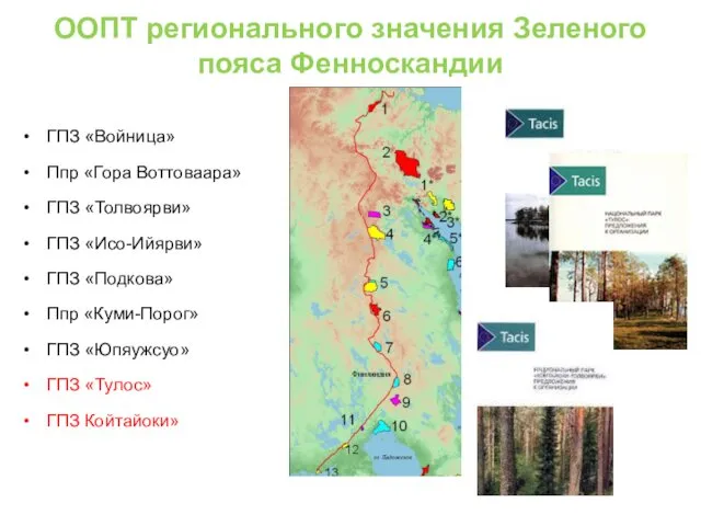 ООПТ регионального значения Зеленого пояса Фенноскандии ГПЗ «Войница» Ппр «Гора