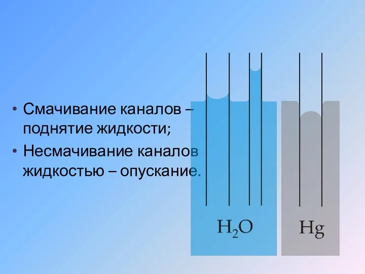 Смачивание каналов – поднятие жидкости; Несмачивание каналов жидкостью – опускание.