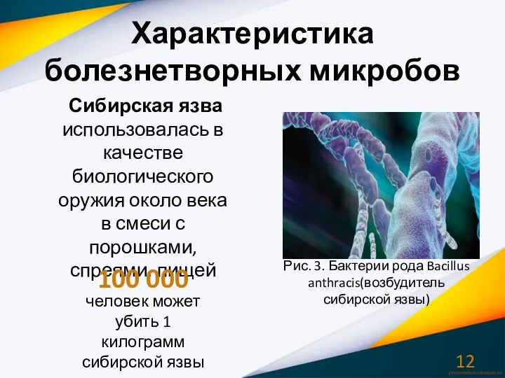 Характеристика болезнетворных микробов Сибирская язва использовалась в качестве биологического оружия