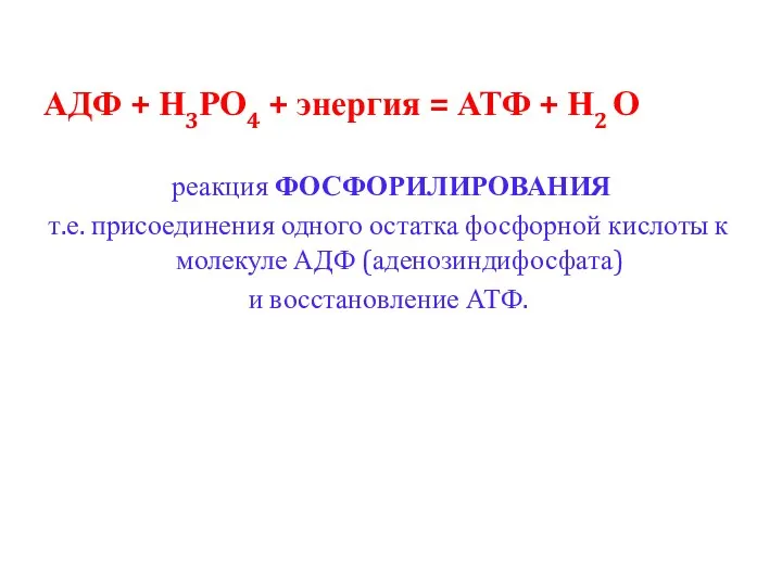 АДФ + Н3РО4 + энергия = АТФ + Н2 О