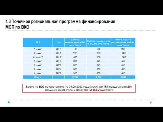 1.3 Точечная региональная программа финансирования МСП по ВКО Всего по