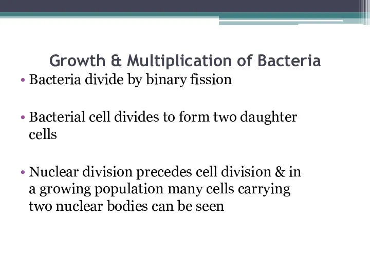 Growth & Multiplication of Bacteria Bacteria divide by binary fission