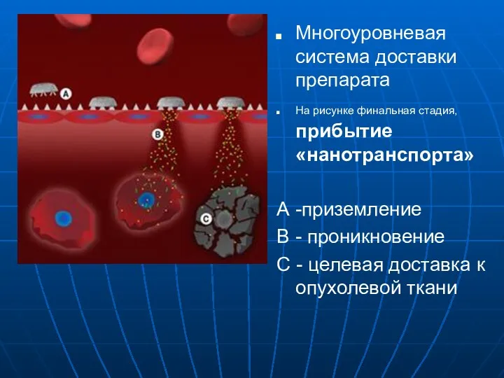 Многоуровневая система доставки препарата На рисунке финальная стадия, прибытие «нанотранспорта»