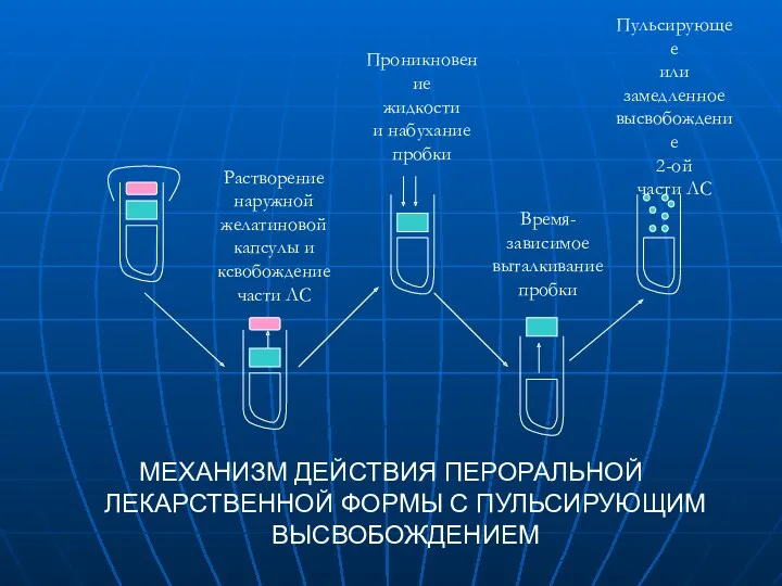 МЕХАНИЗМ ДЕЙСТВИЯ ПЕРОРАЛЬНОЙ ЛЕКАРСТВЕННОЙ ФОРМЫ С ПУЛЬСИРУЮЩИМ ВЫСВОБОЖДЕНИЕМ Растворение наружной