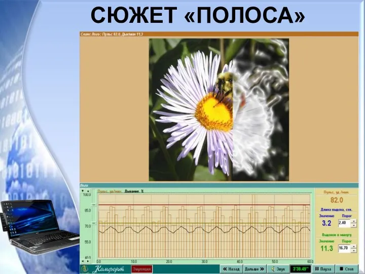 СЮЖЕТ «ПОЛОСА»