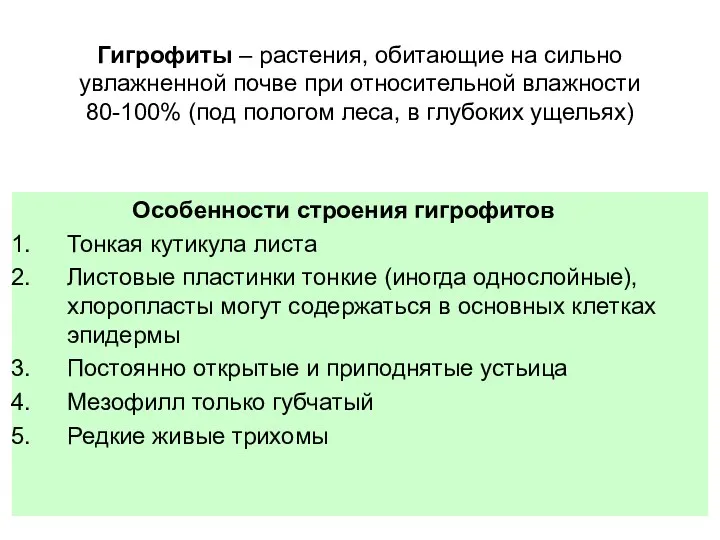 Гигрофиты – растения, обитающие на сильно увлажненной почве при относительной