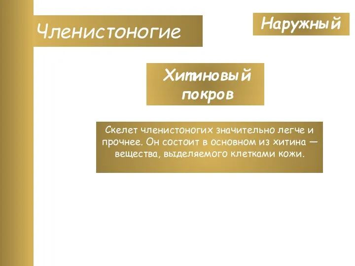 Наружный Членистоногие Хитиновый покров Скелет членистоногих значительно легче и прочнее.