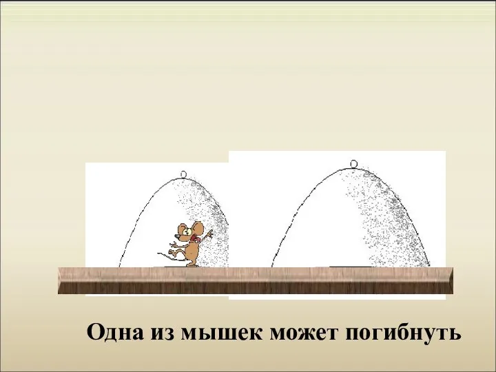 Поднимите один из колпачков. Какой колпак нужно поднять и почему. Одна из мышек может погибнуть