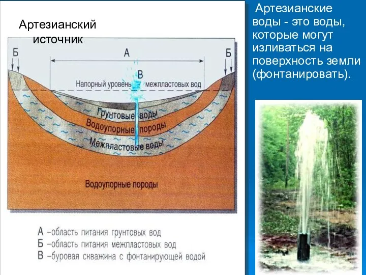 Артезианские воды - это воды, которые могут изливаться на поверхность земли (фонтанировать).