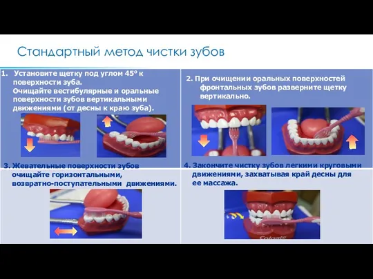 Стандартный метод чистки зубов Установите щетку под углом 45o к