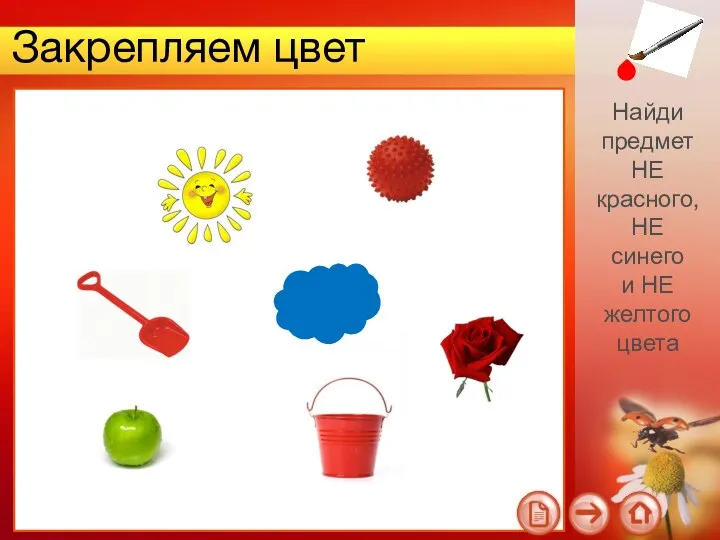 Закрепляем цвет Найди предмет НЕ красного, НЕ синего и НЕ желтого цвета