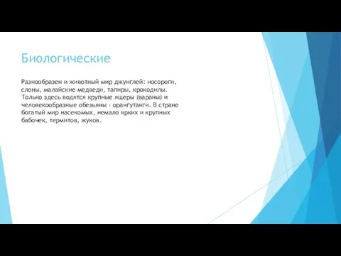 Биологические Разнообразен и животный мир джунглей: носороги, слоны, малайские медведи,