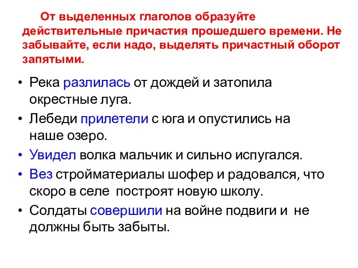 Река разлилась от дождей и затопила окрестные луга. Лебеди прилетели