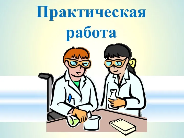 Практическая работа