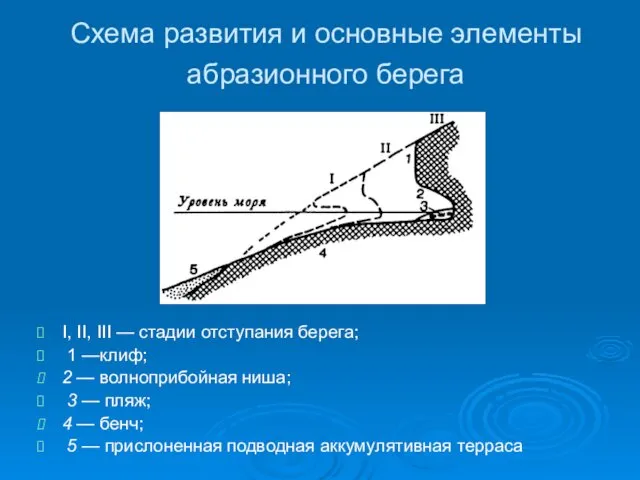 Схема развития и основные элементы абразионного берега I, II, III