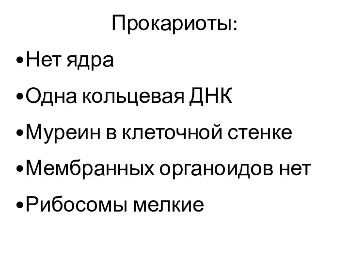 Прокариоты: Нет ядра Одна кольцевая ДНК Муреин в клеточной стенке Мембранных органоидов нет Рибосомы мелкие