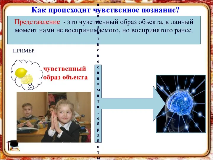 Представление - это чувственный образ объекта, в данный момент нами не воспринимаемого, но