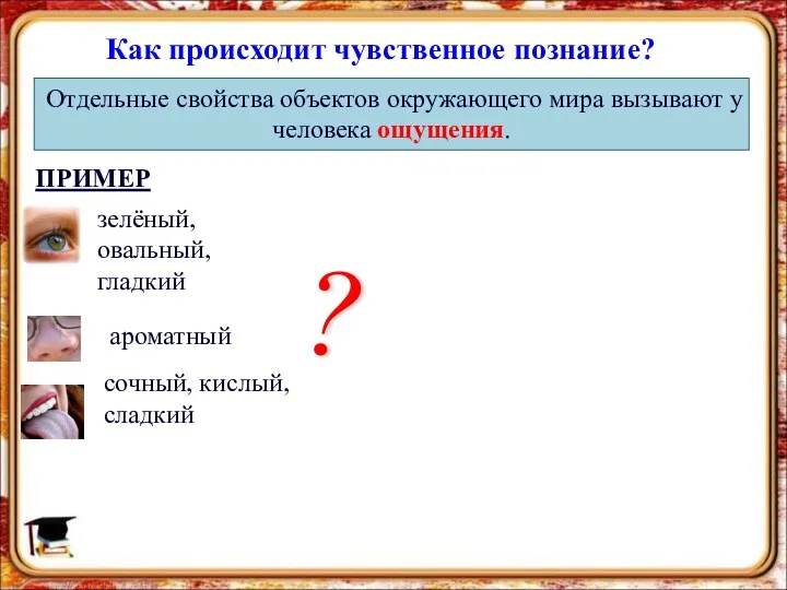 Как происходит чувственное познание? Отдельные свойства объектов окружающего мира вызывают у человека ощущения.