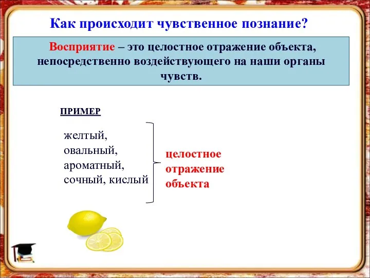 Как происходит чувственное познание? Восприятие – это целостное отражение объекта, непосредственно воздействующего на наши органы чувств.