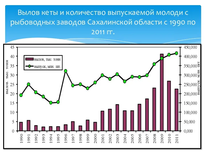 Вылов кеты и количество выпускаемой молоди с рыбоводных заводов Сахалинской области с 1990 по 2011 гг.