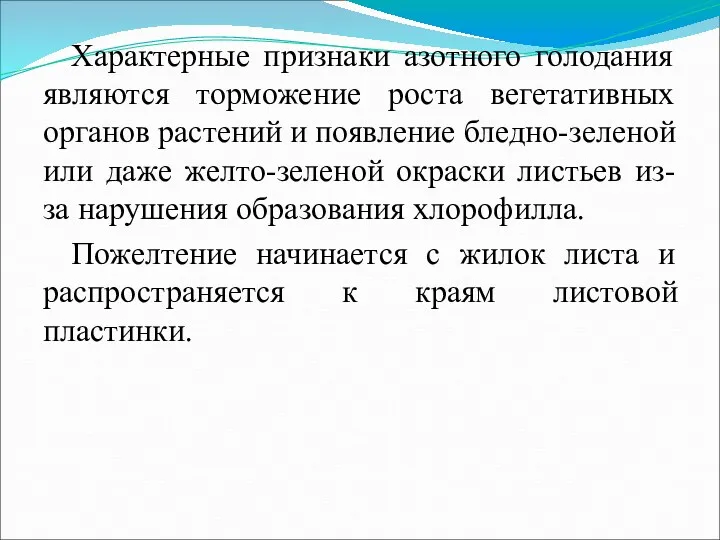 Характерные признаки азотного голодания являются торможение роста вегетативных органов растений