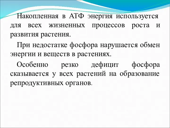 Накопленная в АТФ энергия используется для всех жизненных процессов роста