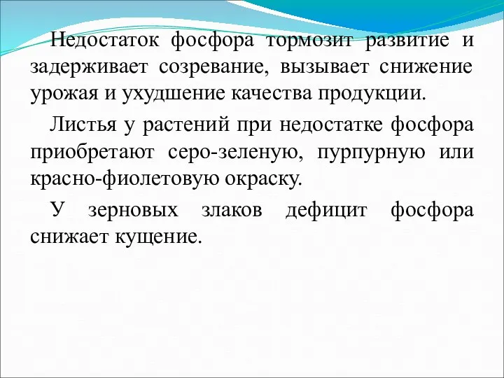 Недостаток фосфора тормозит развитие и задерживает созревание, вызывает снижение урожая