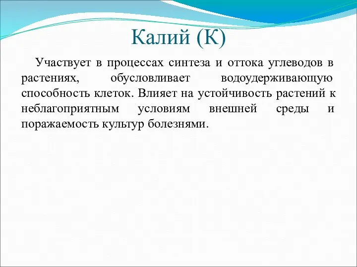 Калий (К) Участвует в процессах синтеза и оттока углеводов в