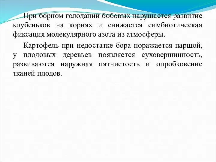 При борном голодании бобовых нарушается развитие клубеньков на корнях и