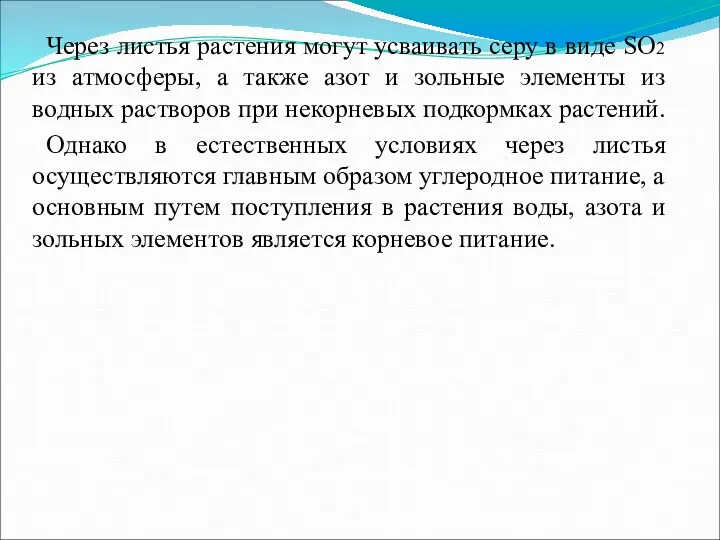 Через листья растения могут усваивать серу в виде SO2 из