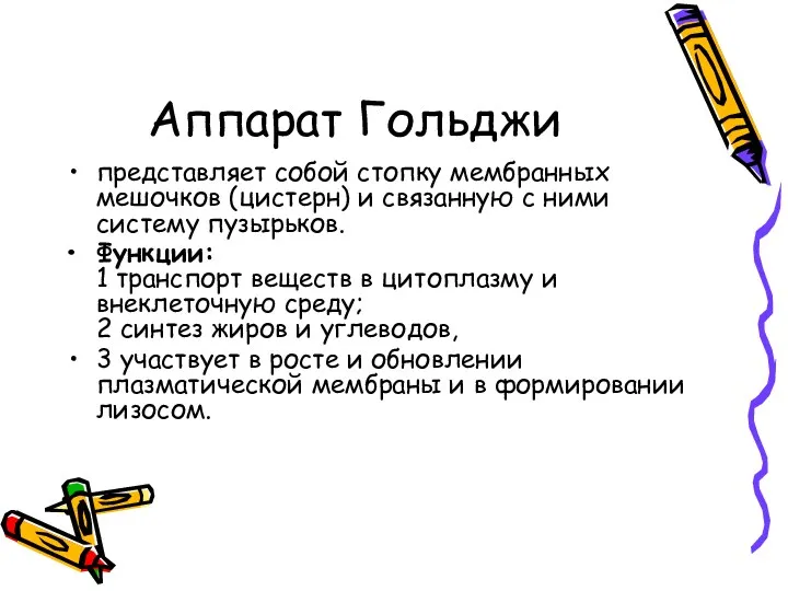 Аппарат Гольджи представляет собой стопку мембранных мешочков (цистерн) и связанную