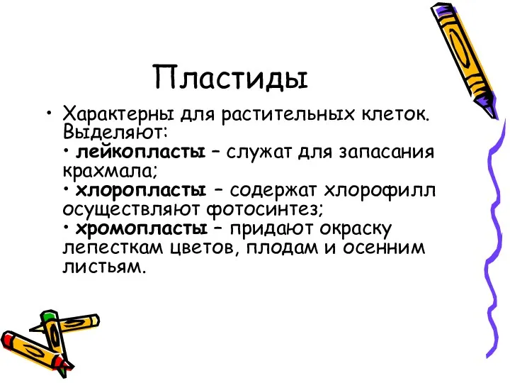 Пластиды Характерны для растительных клеток. Выделяют: • лейкопласты – служат