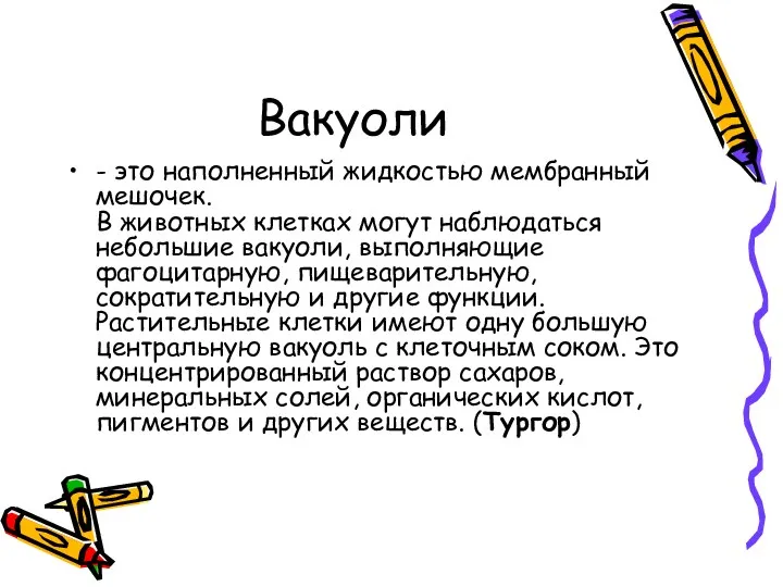 Вакуоли - это наполненный жидкостью мембранный мешочек. В животных клетках