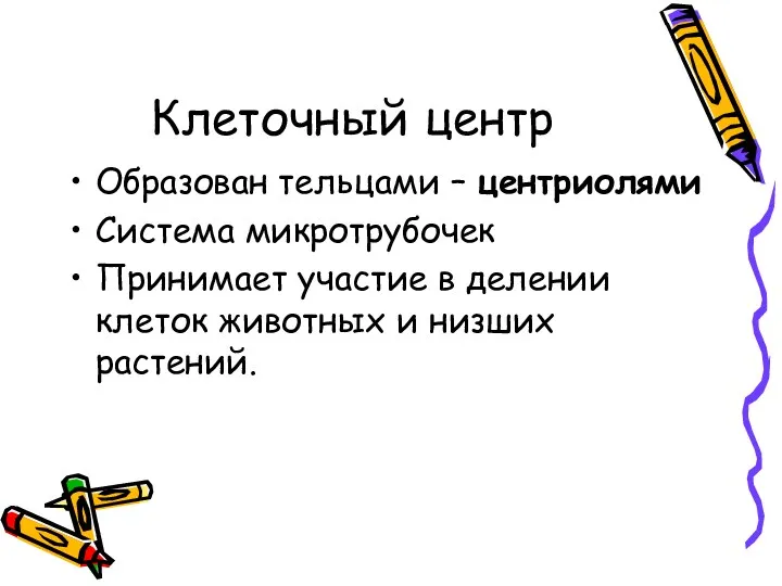 Клеточный центр Образован тельцами – центриолями Система микротрубочек Принимает участие