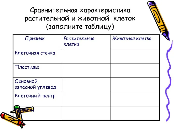 Сравнительная характеристика растительной и животной клеток (заполните таблицу)