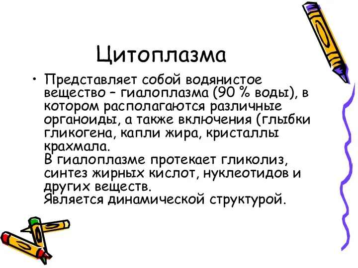 Цитоплазма Представляет собой водянистое вещество – гиалоплазма (90 % воды),